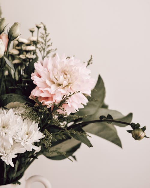 bitkiler, buket, Çiçekler içeren Ücretsiz stok fotoğraf