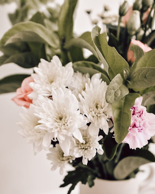 Immagine gratuita di avvicinamento, bouquet, decorazione