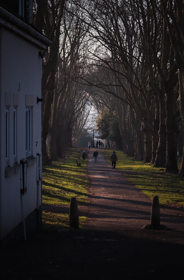 People Walking Through Alley In Park