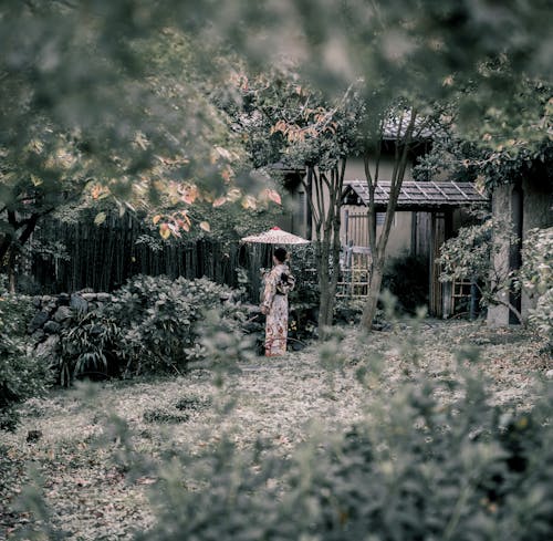 Fotobanka s bezplatnými fotkami na tému človek, denné svetlo, farba