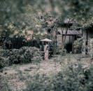 京都宁静的花园中，一名身穿和服的女子撑着伞