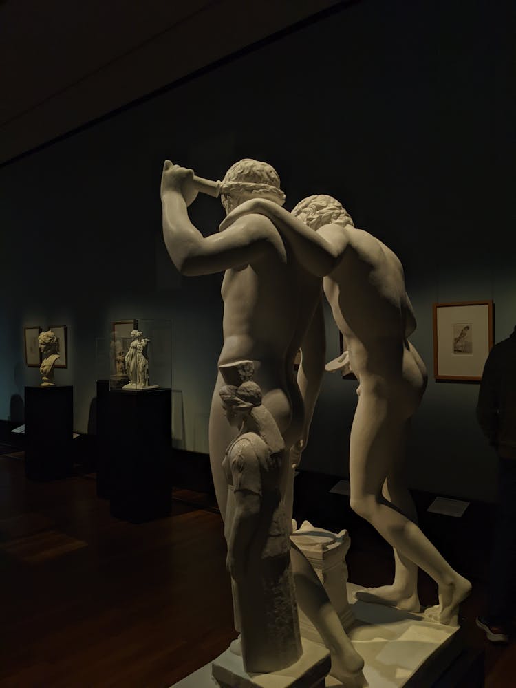 Marble Sculptures In Museum