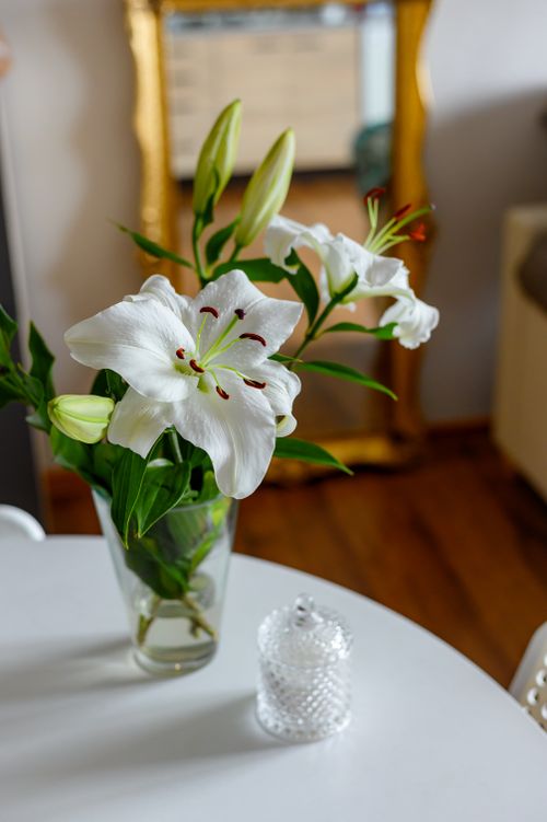 Free A delicate vase with white lilies on a table, perfect for adding elegance to any interior design. Stock Photo