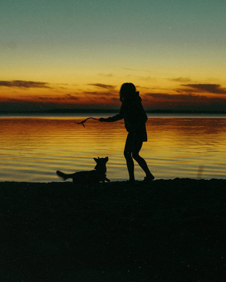 Silhouette Of Woman Playing With Dog By Sea At Dusk