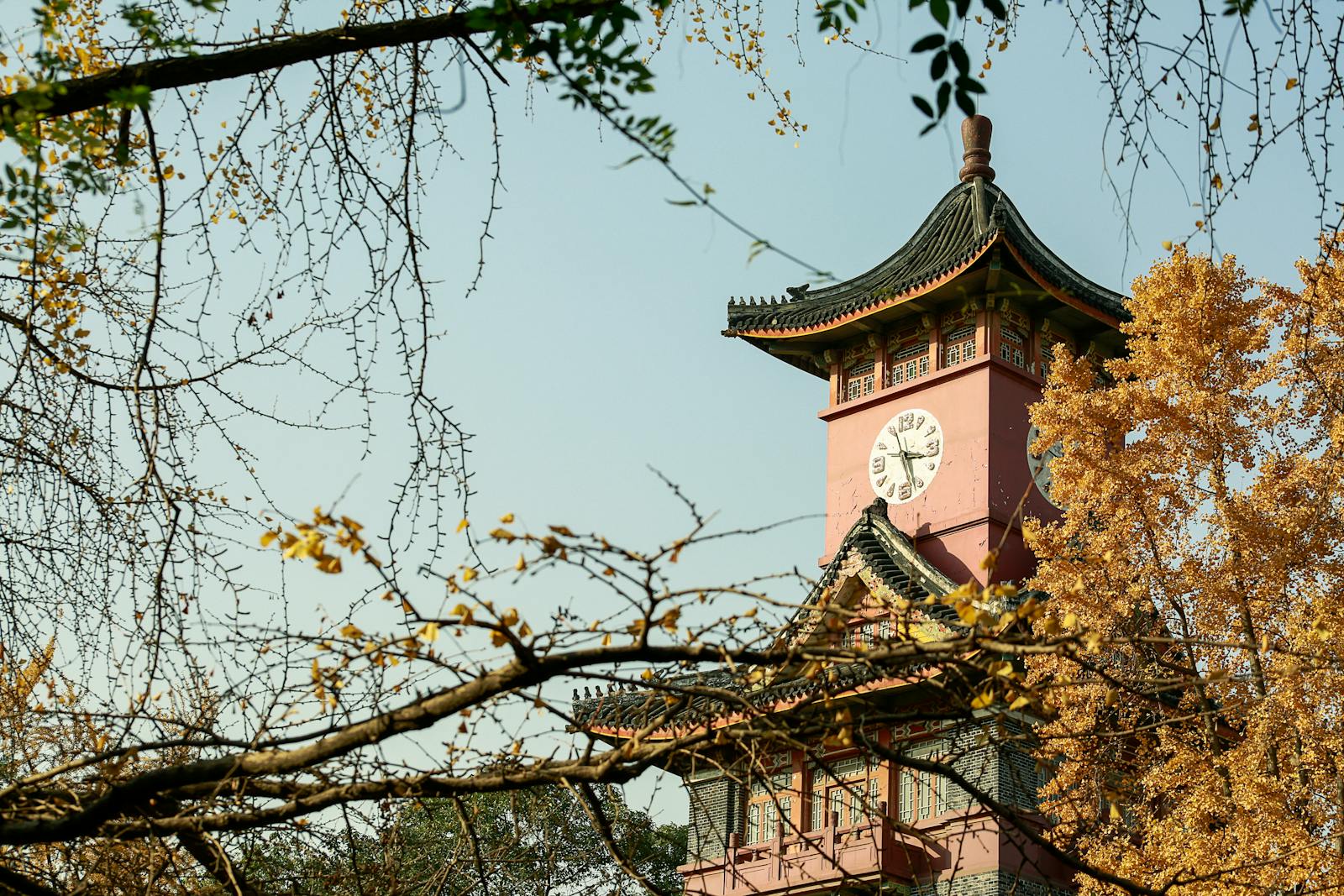 联邦能源转型拍卖启动：大规模储能与可再生并网项目进入“投产倒计时”