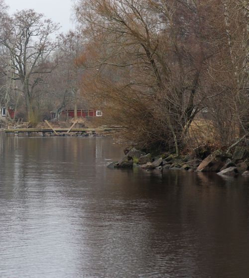 Free Serene autumn lakeside view with red huts and bare trees under a cloudy sky. Stock Photo