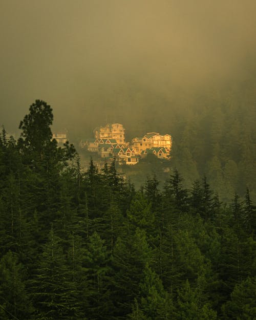Houses in Mountains among Evergreen Forest