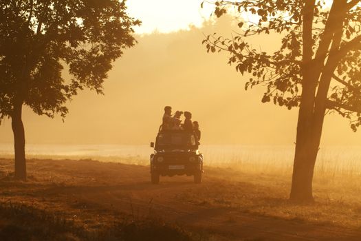 Silhouetted group enjoying an early morning safari in a rugged vehicle amidst scenic sunrise.