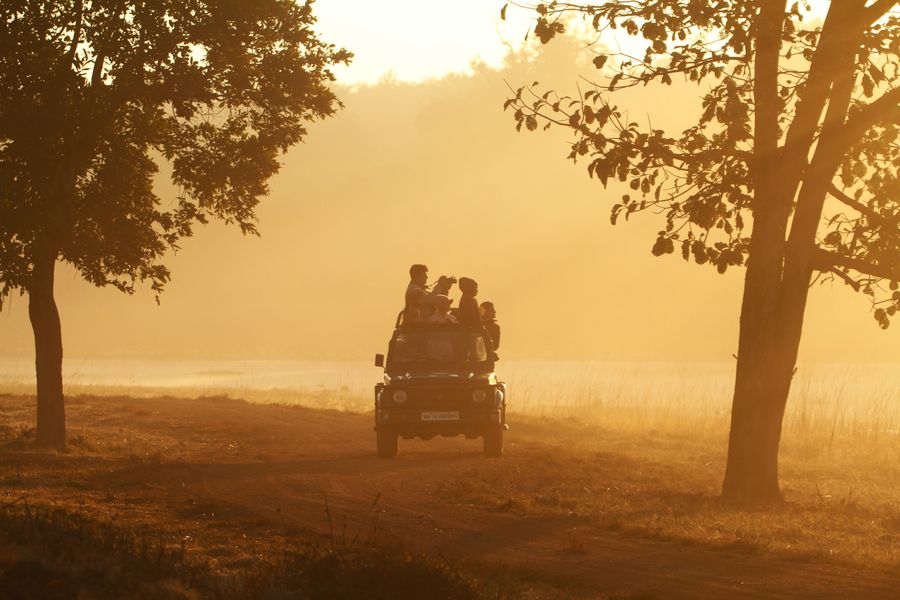 Silhouetted group on a low-light game drive, photo by Sharath G. on Pexels