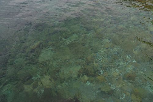 Free A serene capture of crystal clear shallow waters revealing underwater textures. Stock Photo