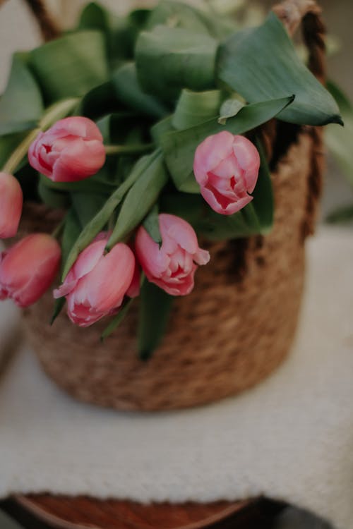 A Basket with Pink Tulips 