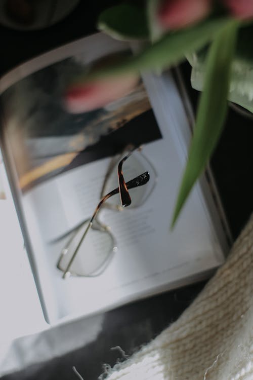 Eyeglasses on Book