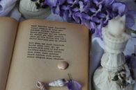 An open vintage book with poetry surrounded by purple flowers and seashells.