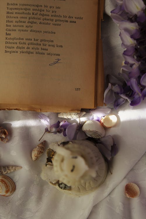 Flower Petals by Page of Book on White Sheet