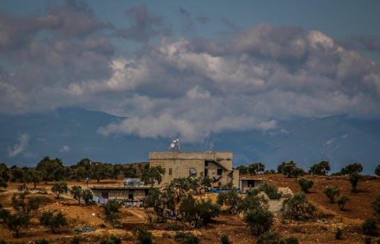 Photo by Samer Daboul