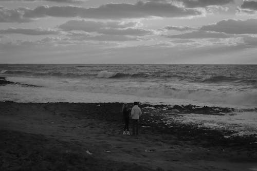 Foto stok gratis hitam & putih, kelam, laut