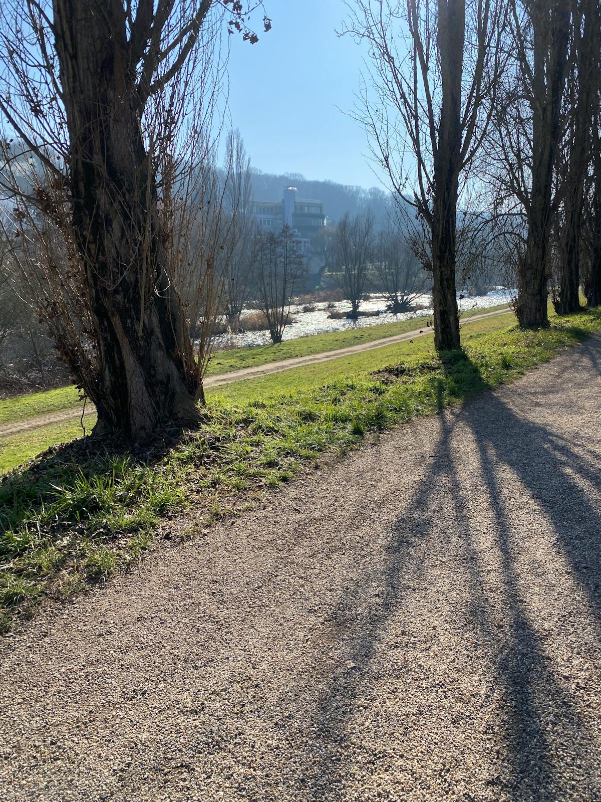 Abstract representation of recommendation algorithm with data points and lines