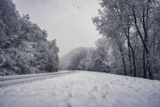 A serene snowy road through Minnesota's frosty forest, capturing the tranquility of winter.