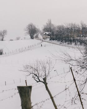 Snow-covered rural landscape in Yardimli, featuring fences and bare trees.