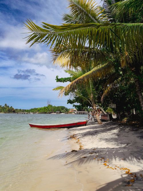 Free Discover a serene tropical beach in Bahia, Brazil with a red boat, calm waters, and swaying palm trees. Stock Photo