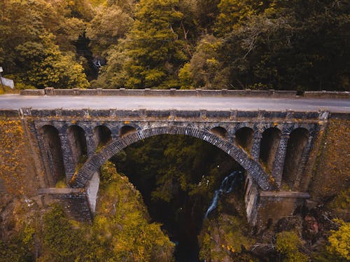 Kostenloses Stock Foto zu architektur, bäume, brücke