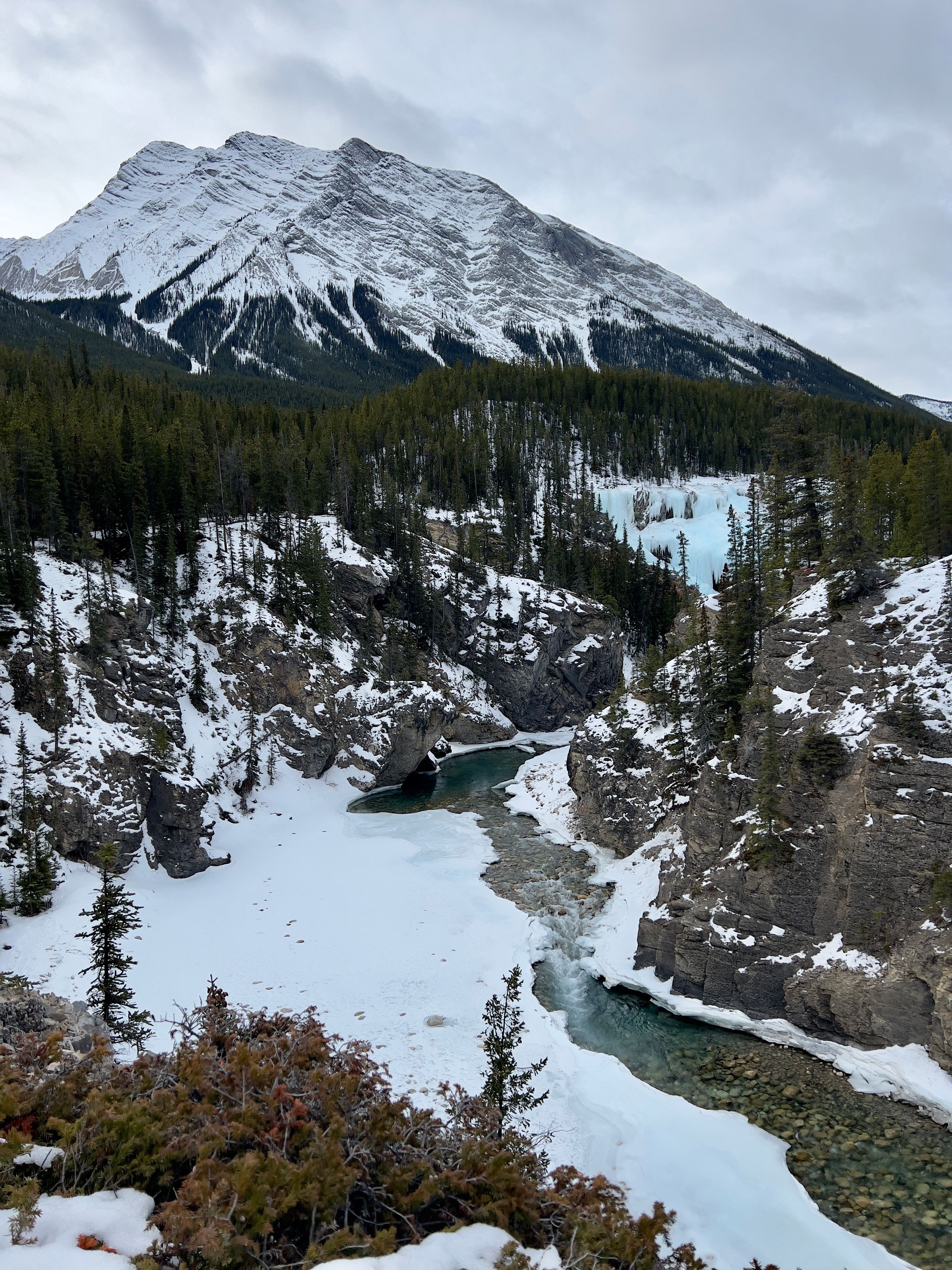 River Flowing through Snow on Forest Edge · Free Stock Photo