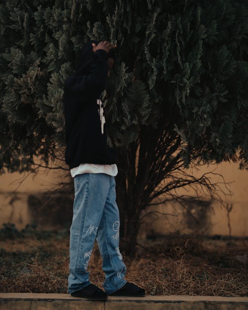 Man Standing on Wall near Tree