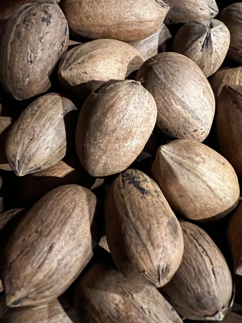 Free Pecans Stock Photo