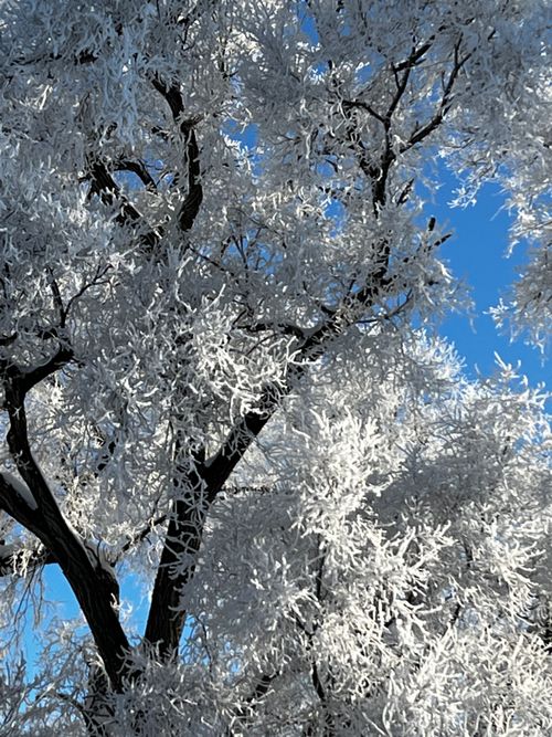 Free Minnesnowta Stock Photo