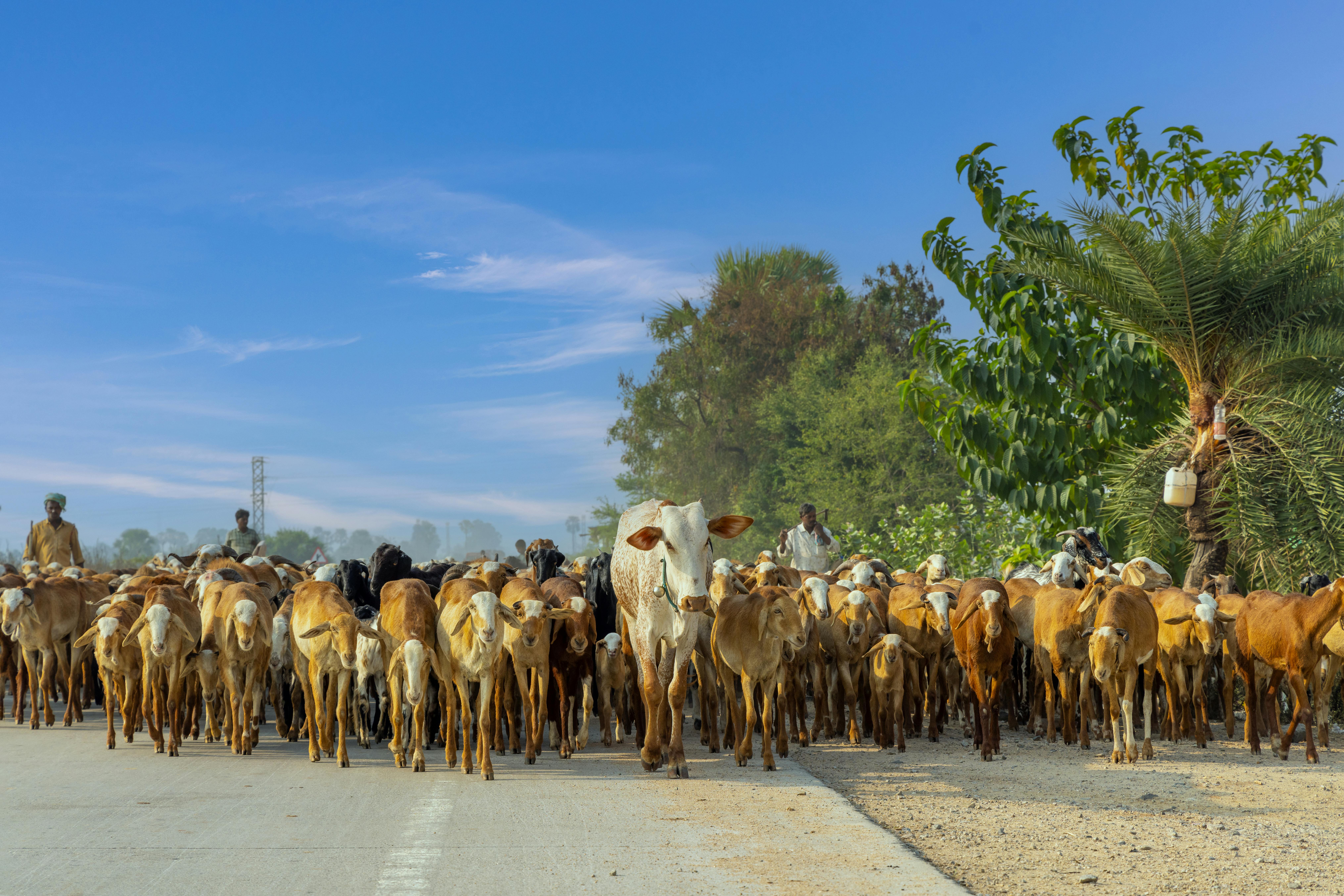 Where resilience is a way of life and means progress: