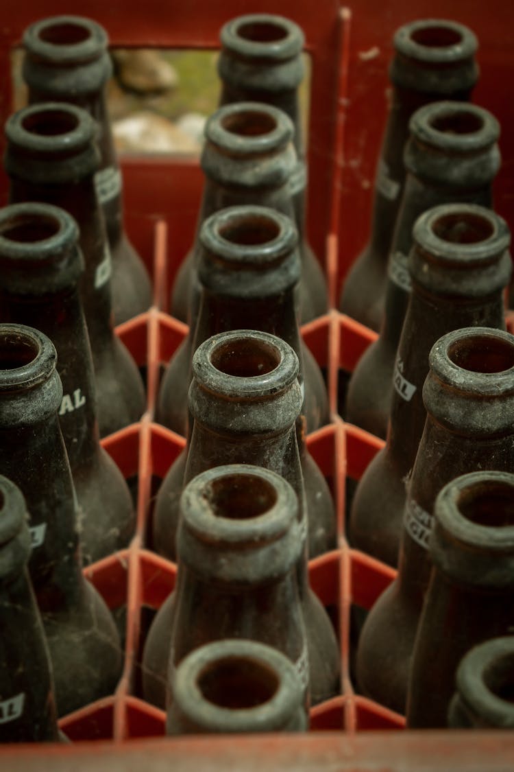 Row Of Beer Bottles