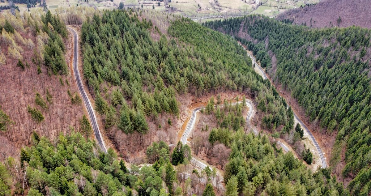 Route forestière en gravier en lacets à flanc de montagne couverte de conifères à côté d'une coupe à blanc