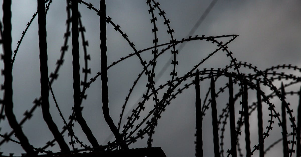 如何應對國防部警告:人擇對國家安全的不可接受風險