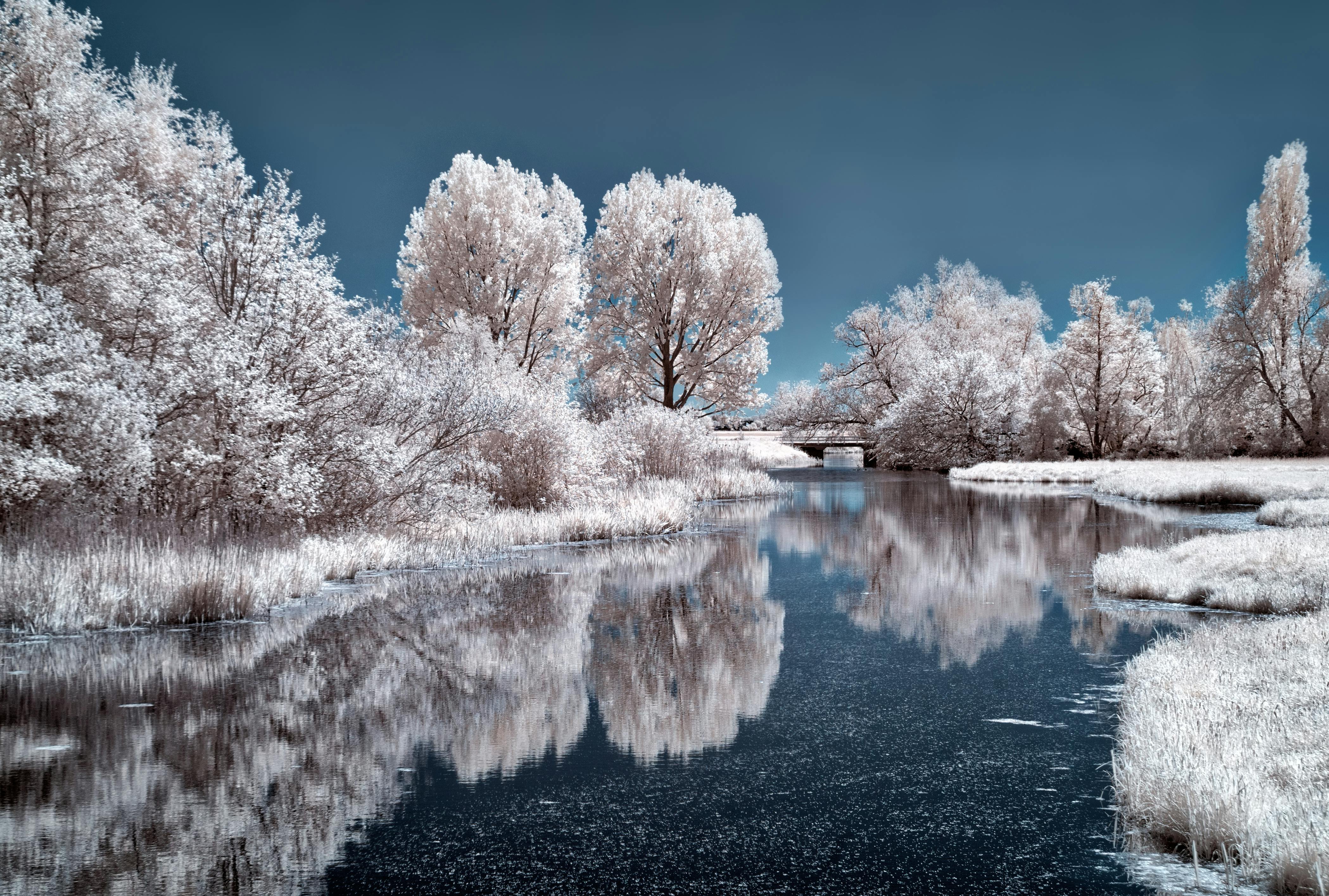 Snow Images · Pexels · Free Stock Photos