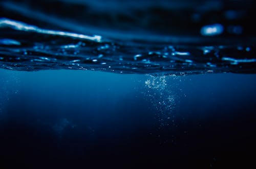 Бесплатное стоковое фото с воздушные пузырьки, дайвинг, море