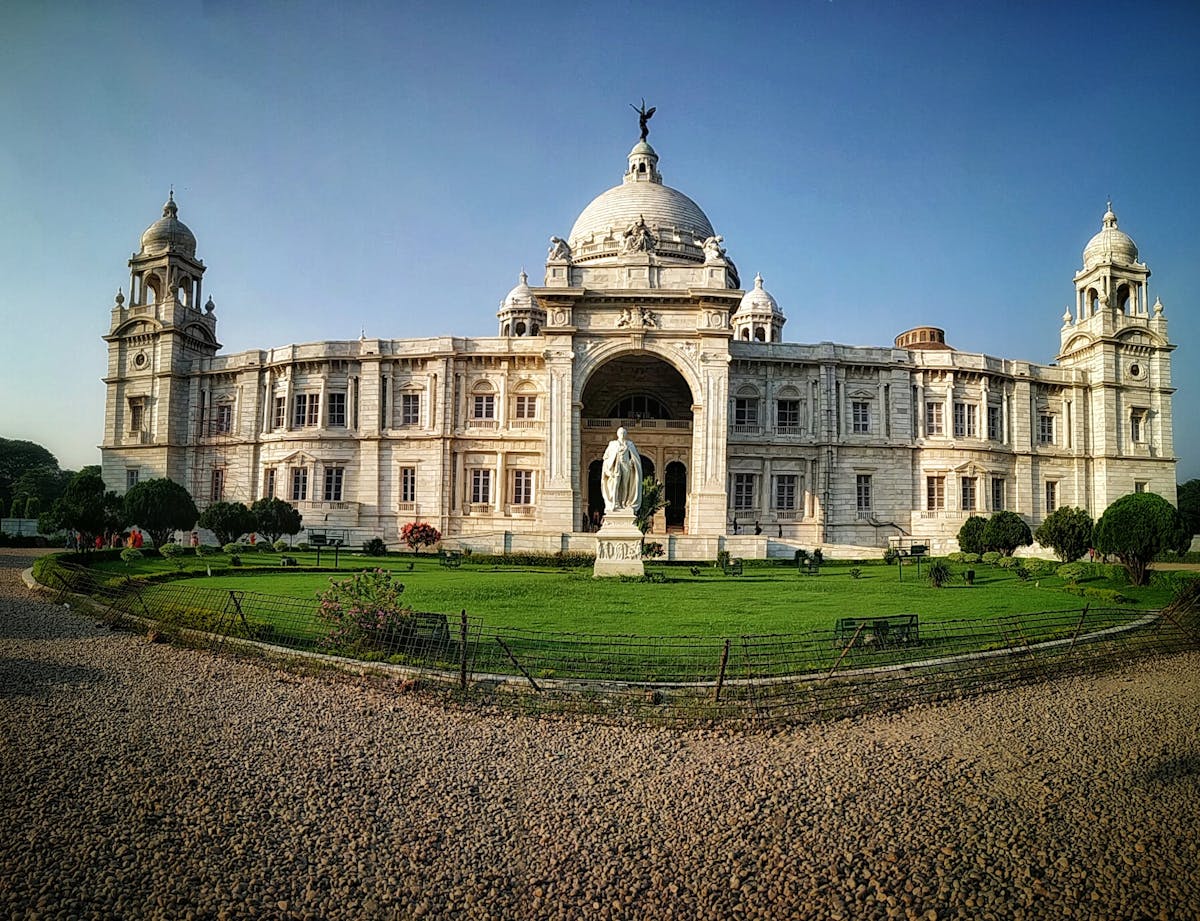 Green finance and digital currency concept with plants growing from coins