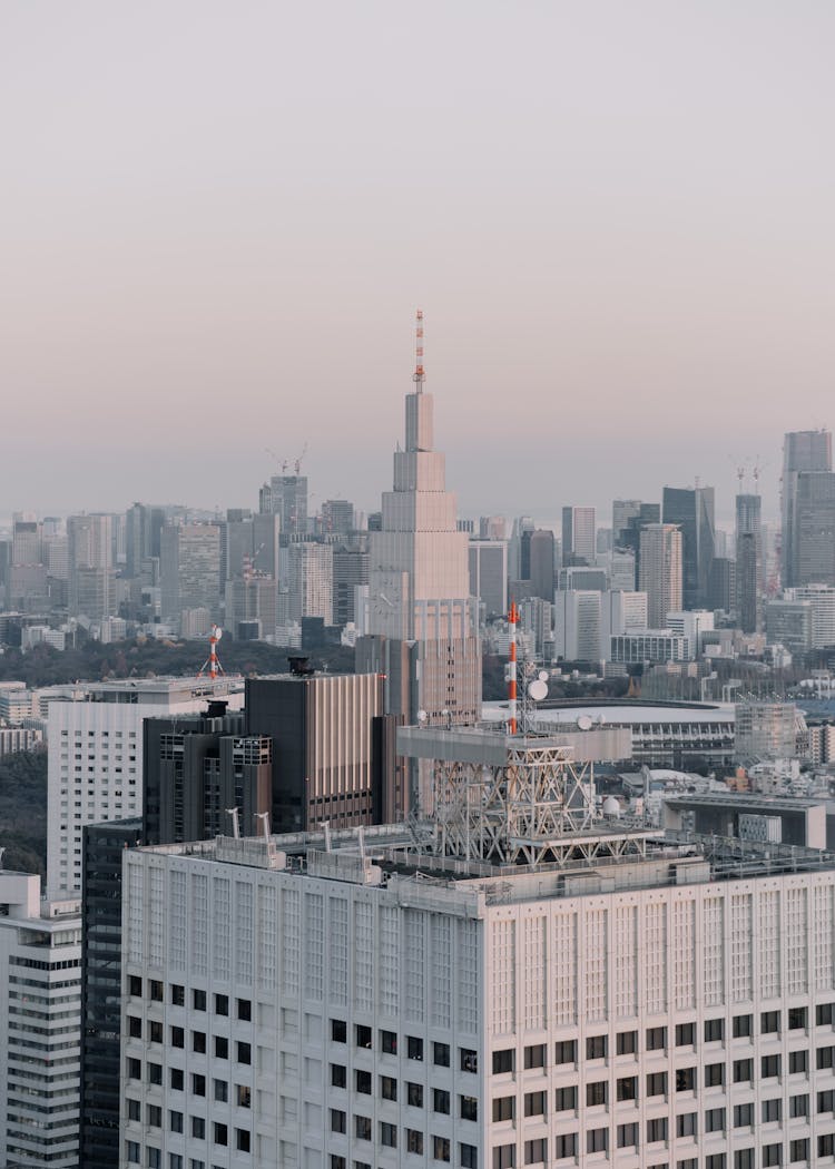 Cityscape Of Tokyo, Japan 