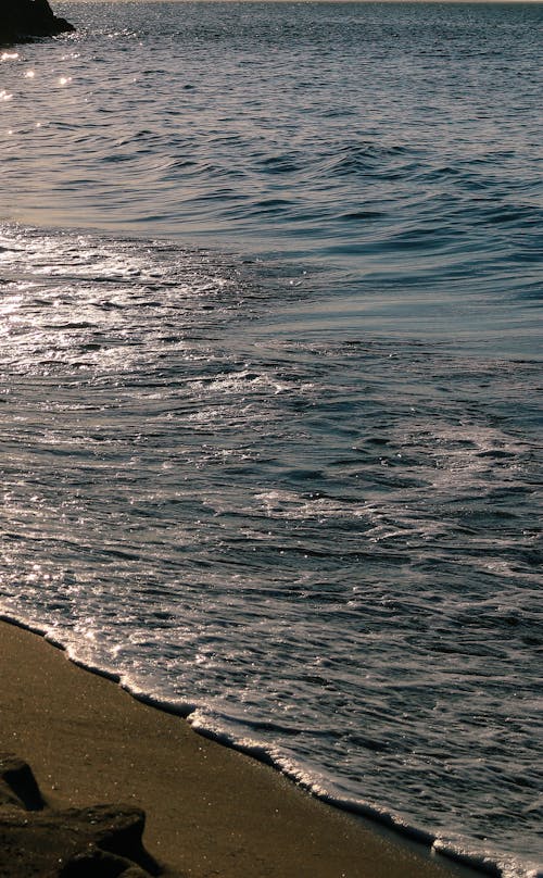 Foto profissional grátis de areia, espuma, litoral