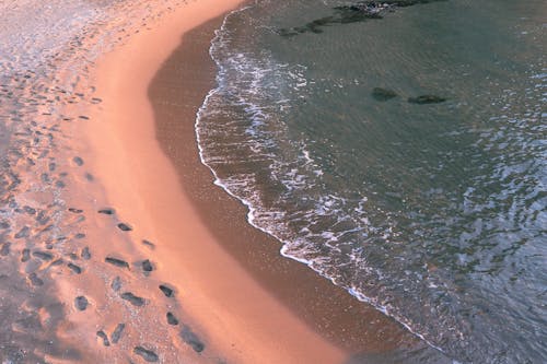 Waves Washing Up the Beach 