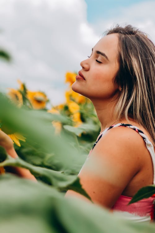 Gratis stockfoto met bloemen, buiten, flora