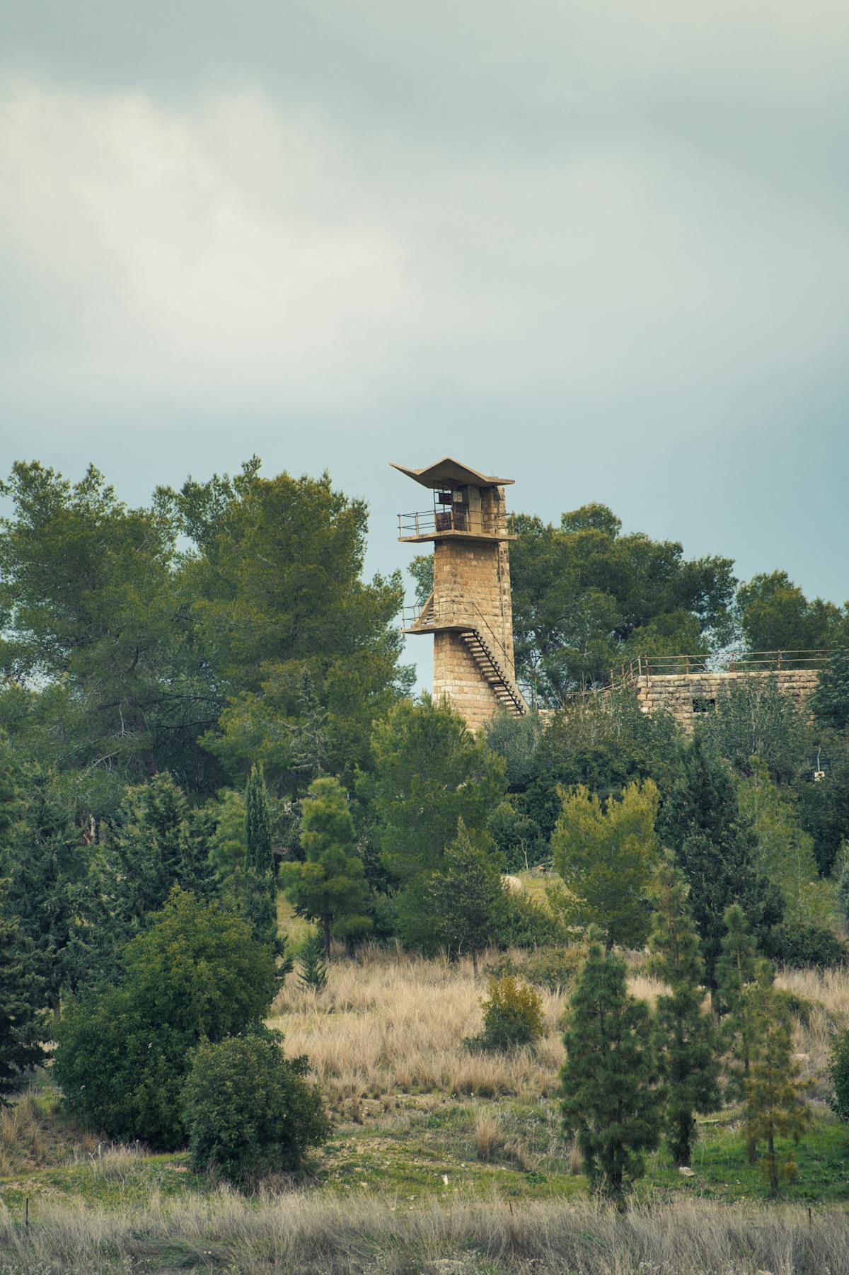 Forest Watchtower Photos, Download The BEST Free Forest Watchtower ...