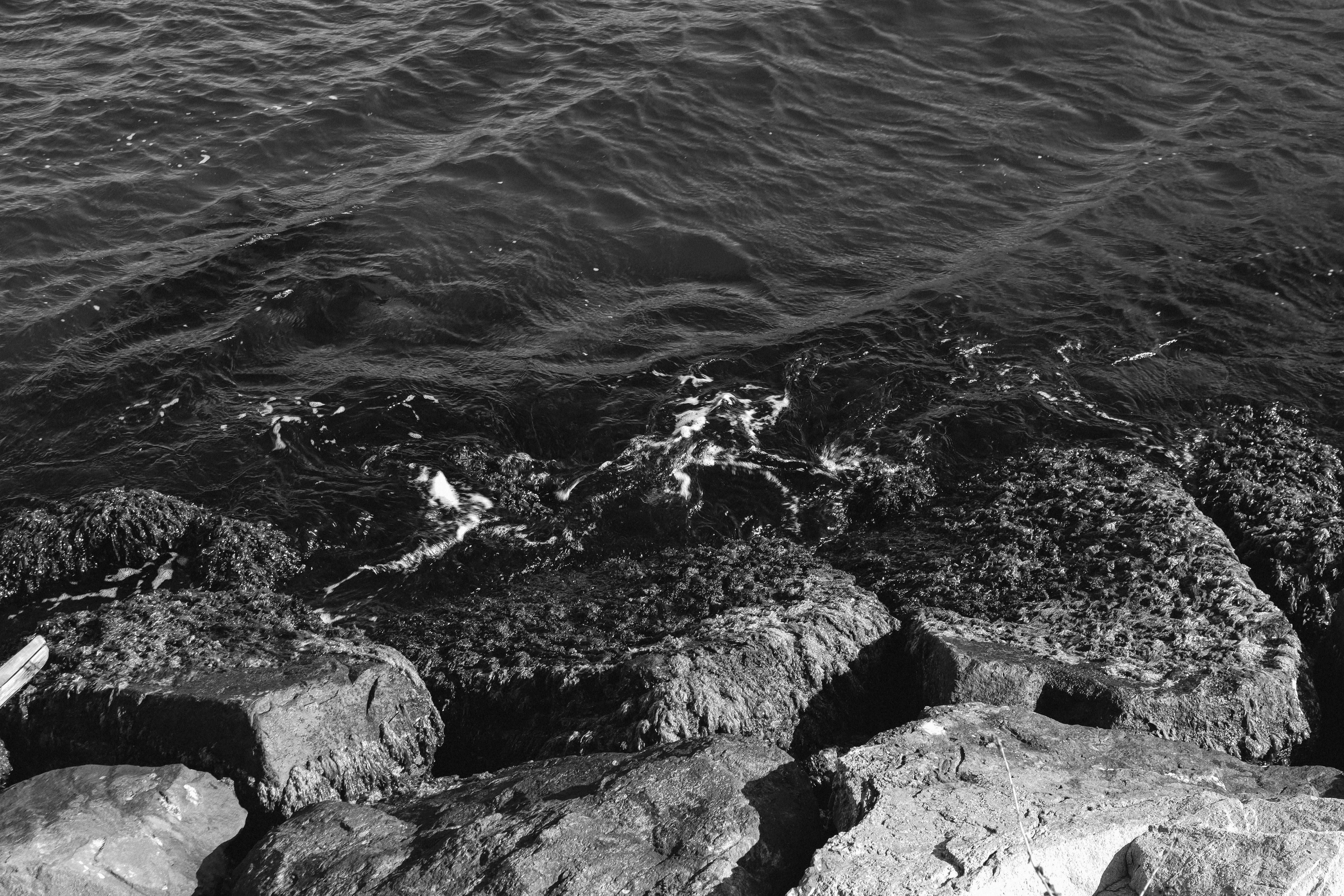 Black and White Photo of a Rocky Coast · Free Stock Photo