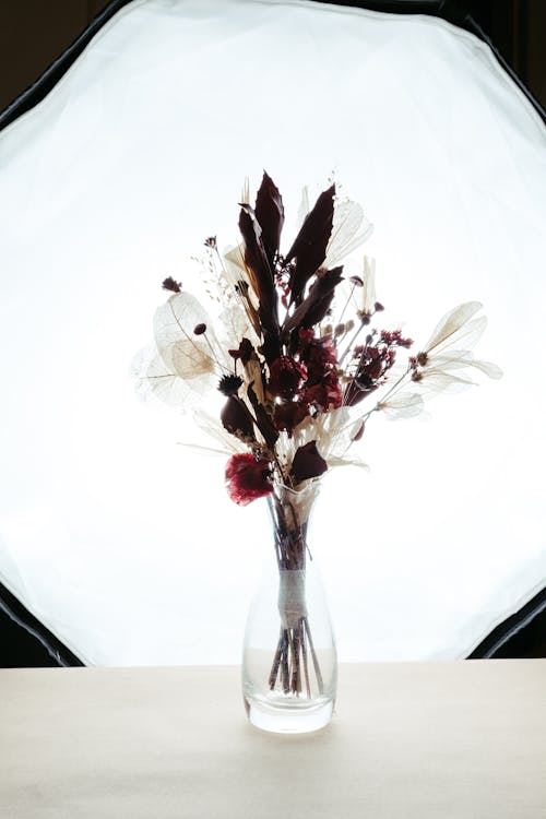 Foto profissional grátis de buquê, decoração, flores