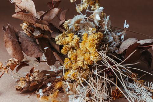 Free Enhance decor with a rustic dried flower arrangement. Perfect for earthy and natural vibes. Stock Photo
