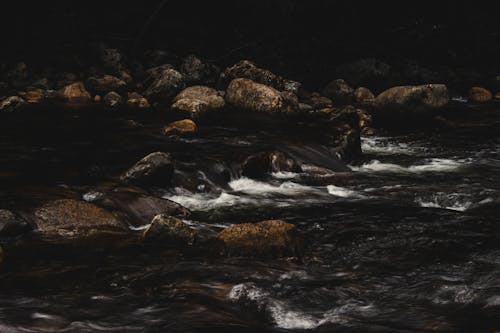 Close-up Photo of a Flowing Stream