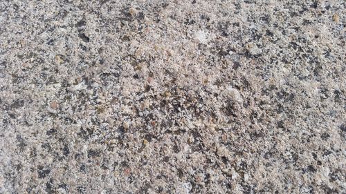 Free stock photo of pavement, rough, textures Stock Photo