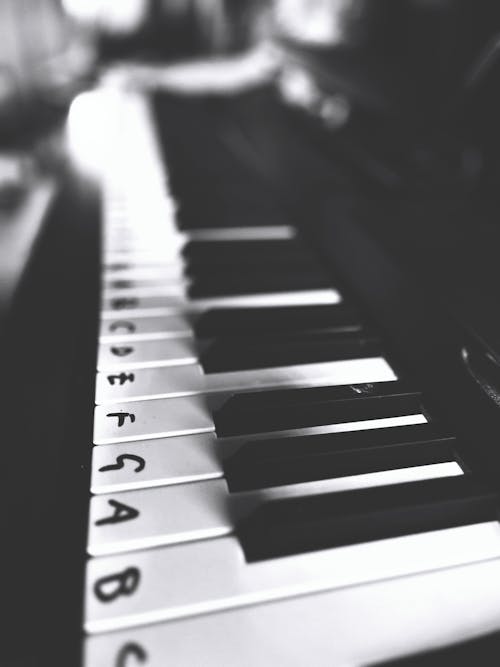 Gratis lagerfoto af bnw, elektronisk tastatur, klaver