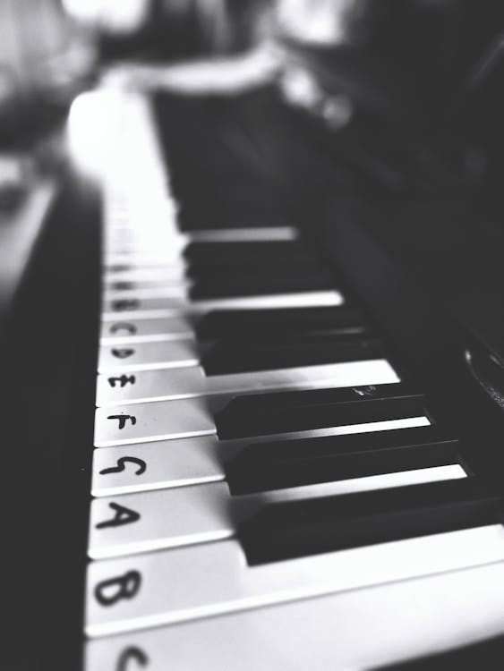 Free stock photo of black and white, bnw, electronic keyboard