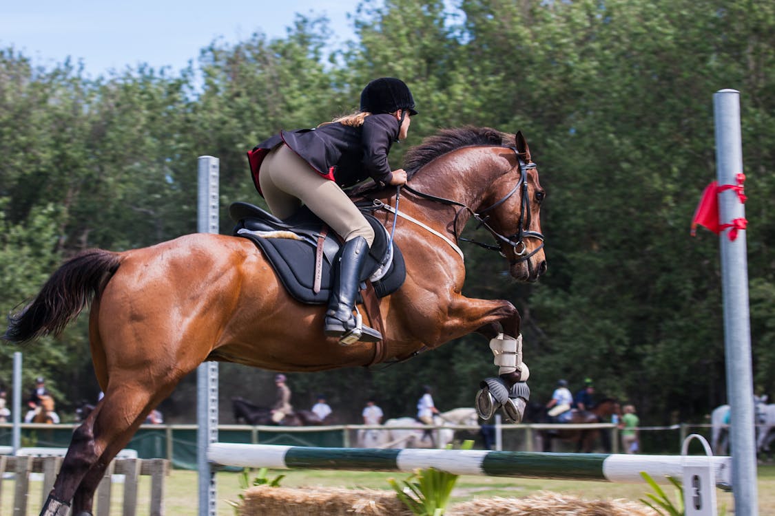 Free Person Riding A Horse Stock Photo