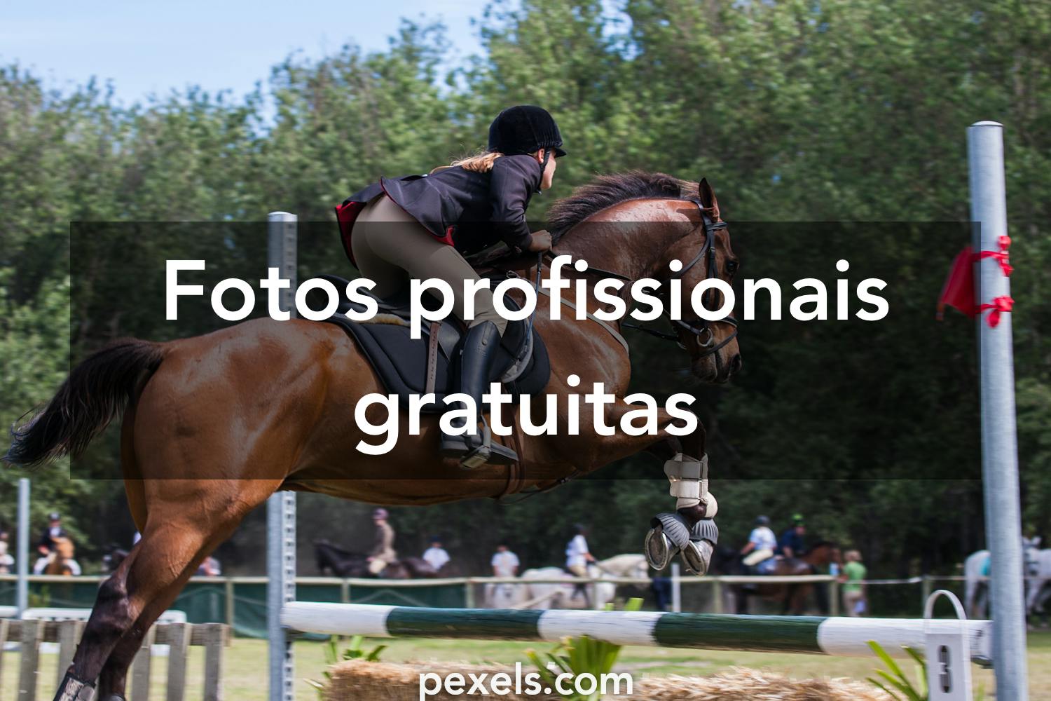 60+ Cavalo Pulando Sujo fotos de stock, imagens e fotos royalty-free -  iStock